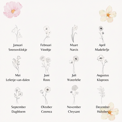 Een elegante illustratie op een crème-kleurige achtergrond met de twaalf geboortebloemen van het jaar, elk getoond als een delicate zwarte lijntekening. De bloemen zijn gerangschikt in een rooster met hun maandnaam in het Nederlands en de naam van de specifieke bloem eronder. Linksboven en rechtsonder zijn subtiele, zachtroze waterverfbloemen te zien. Een prachtige gids voor persoonlijke geboortebloem sieraden.