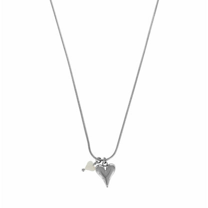 Hartjes collier van stainless steel met zilveren hart en schelp hartje op witte achtergrond