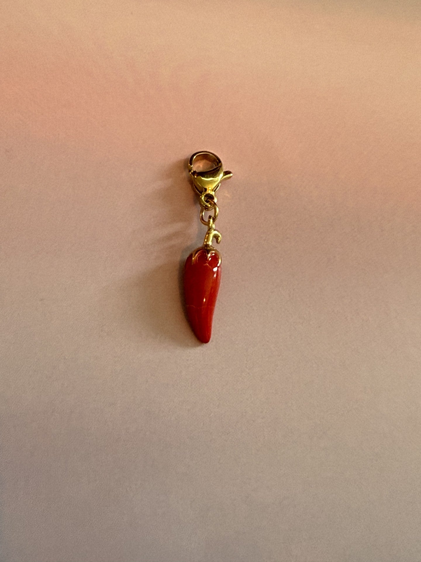 Gouden Spicy Pepper bedel van roestvrij staal