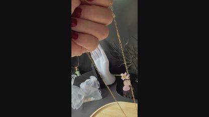 Mini videon warin de palmboom ketting word geshowd