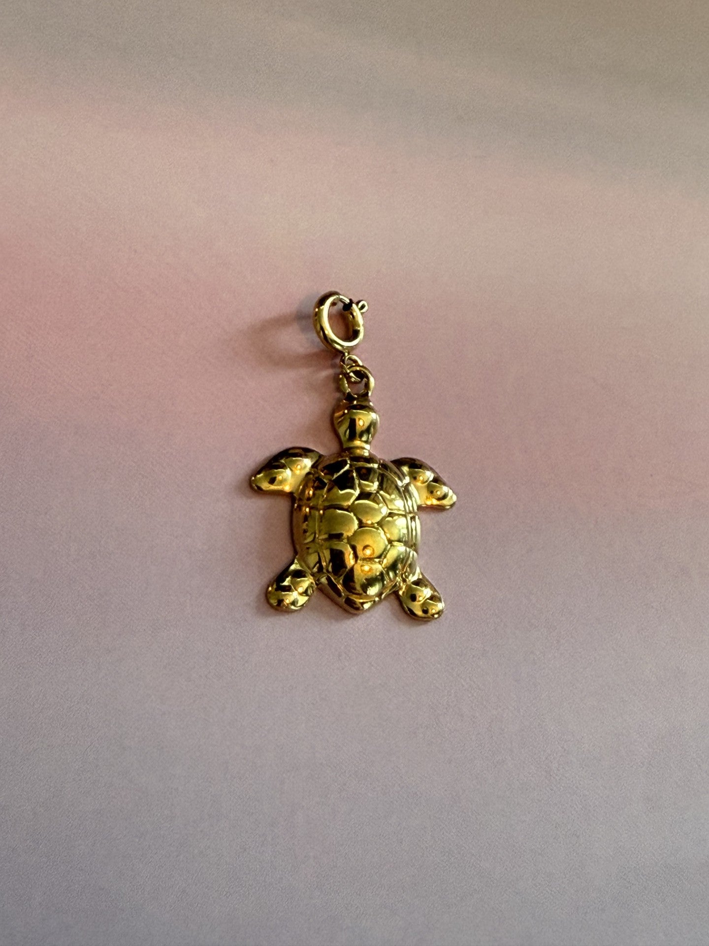 Goudkleurige RVS schildpad bedel voor armband of ketting van Glow Mystic in Style op gekleurde achtergrond.